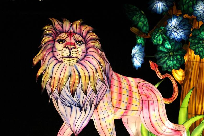 Novi Sad, Kineski festival svetla, Srbija